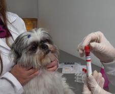 Tecpar lança serviço de acreditação inédito para mercado veterinário 